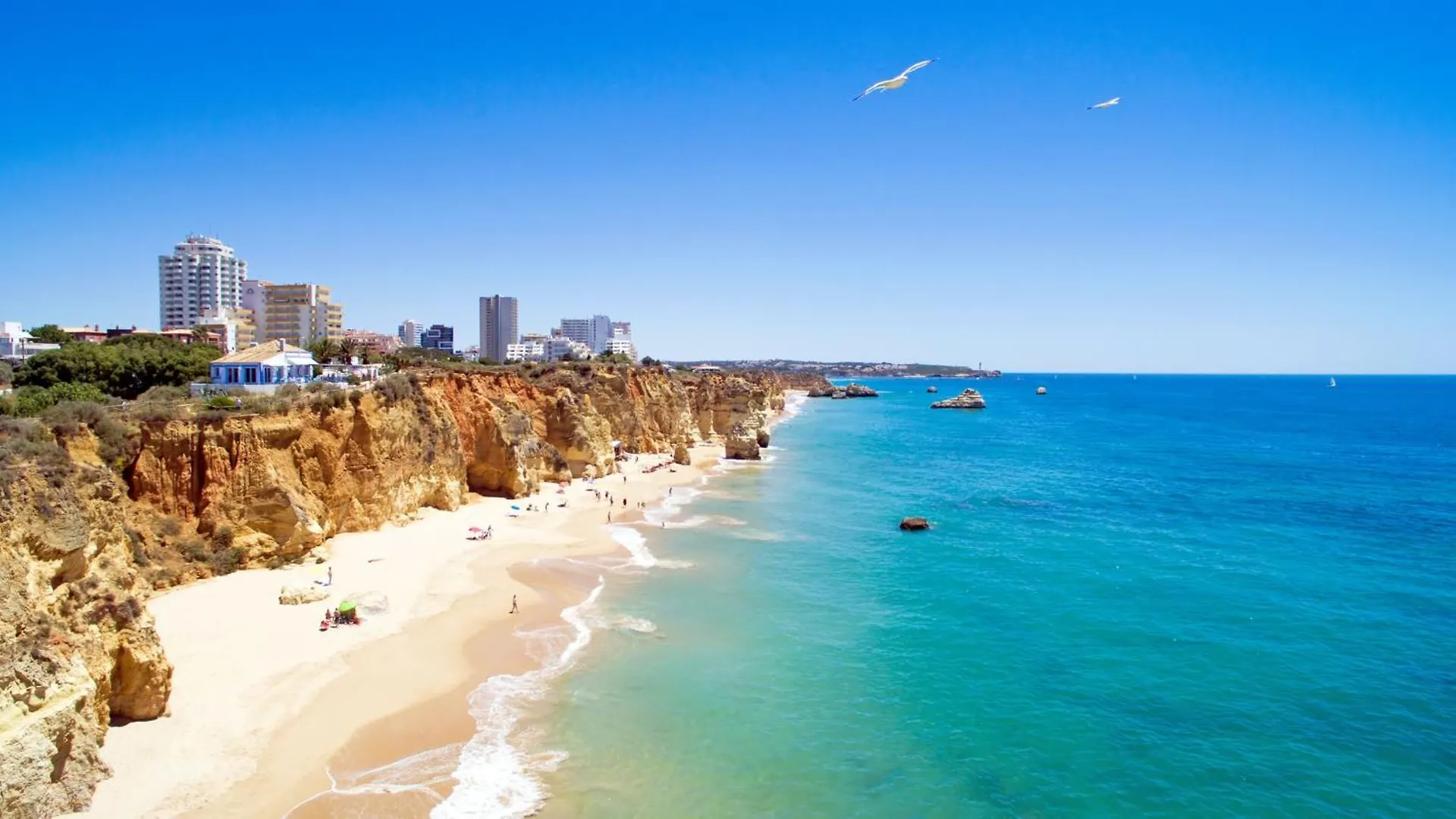 Mcrame Design Apt Sea View, Beachfront, Swimming Pool, 2Bdr, 2Bar, 6 Pax, Praia Da Rocha Portimao